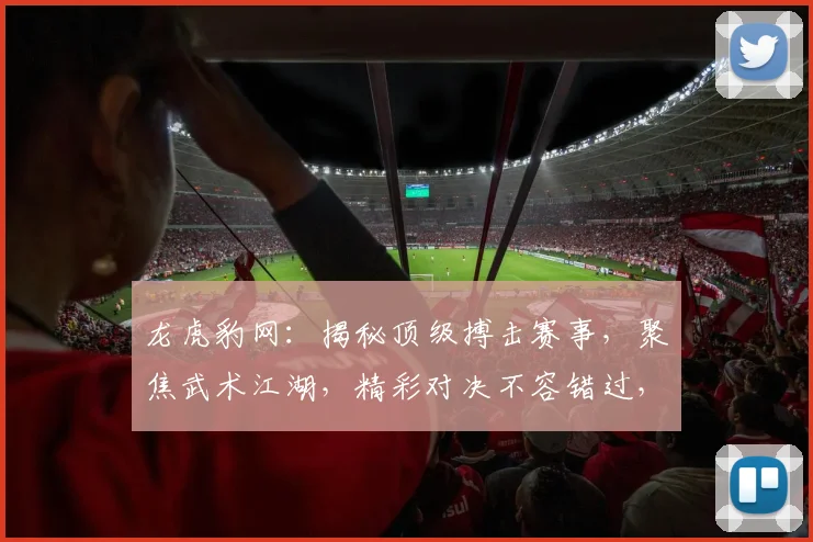 龙虎豹网：揭秘顶级搏击赛事，聚焦武术江湖，精彩对决不容错过，尽在龙虎豹网