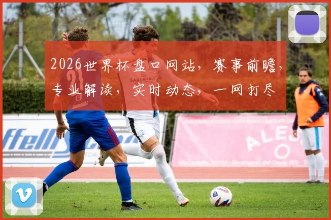 2026世界杯盘口网站，赛事前瞻，专业解读，实时动态，一网打尽